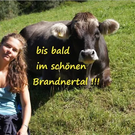 Haus Bergfriede * Brand (Vorarlberg)